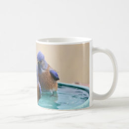 De Café Caneca do Bluebird