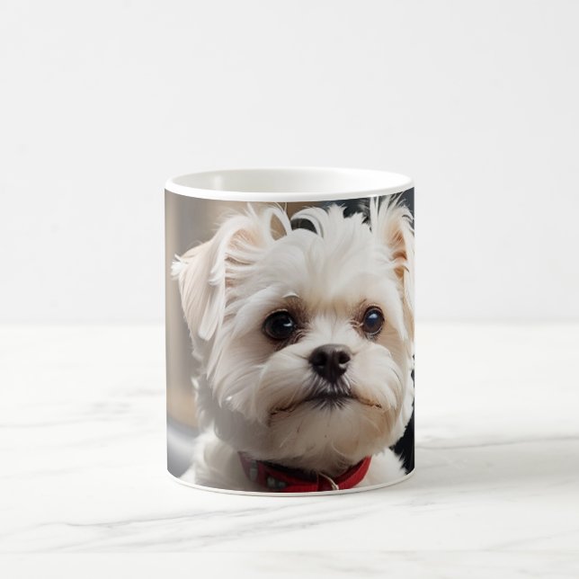 De Café Caneca do Cachorro (Centro)