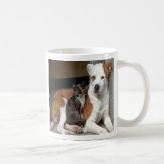 De Café Caneca do cão & do gato