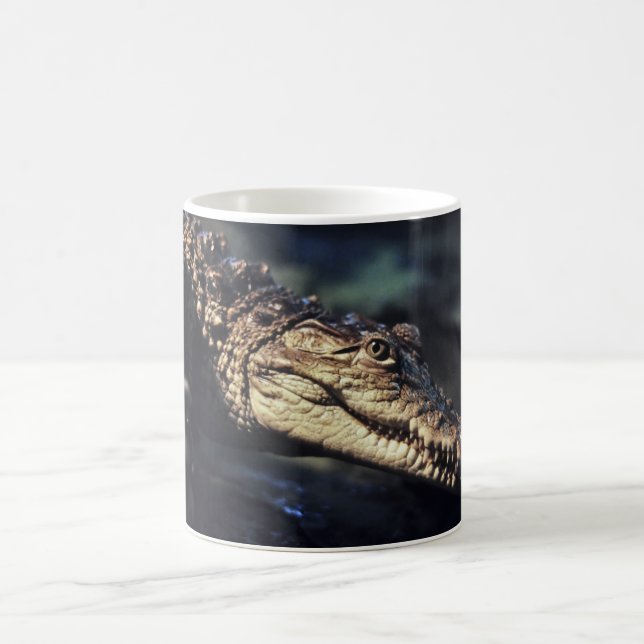 De Café Caneca do crocodilo do caimão (Centro)