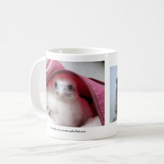 De Café Caneca do falcão