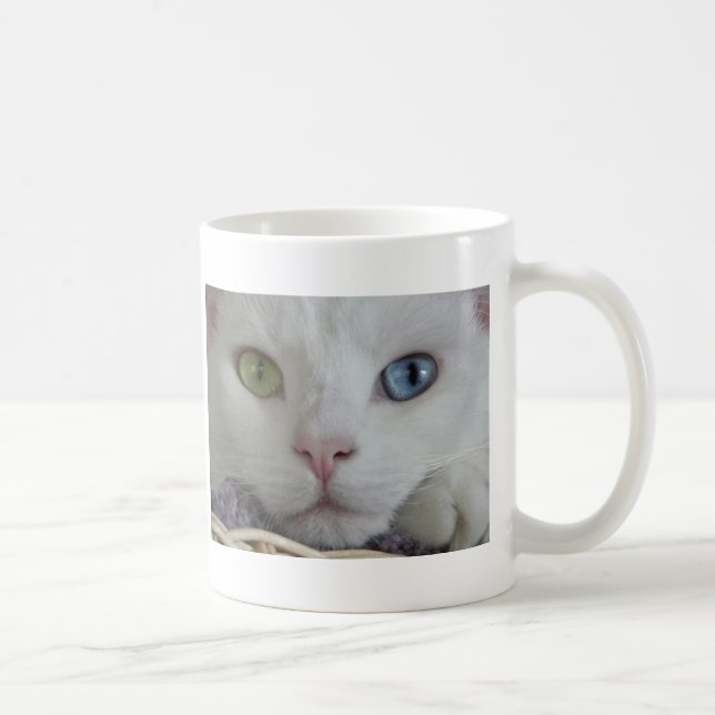 De Café Caneca do fim-acima da serenidade (Direita)