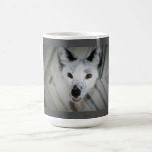 De Café Caneca do Fox - Boris