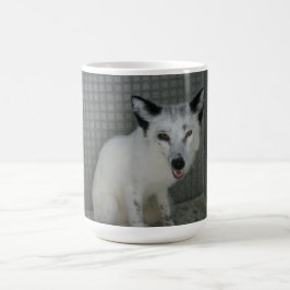 De Café Caneca do Fox - embaixador Sophia