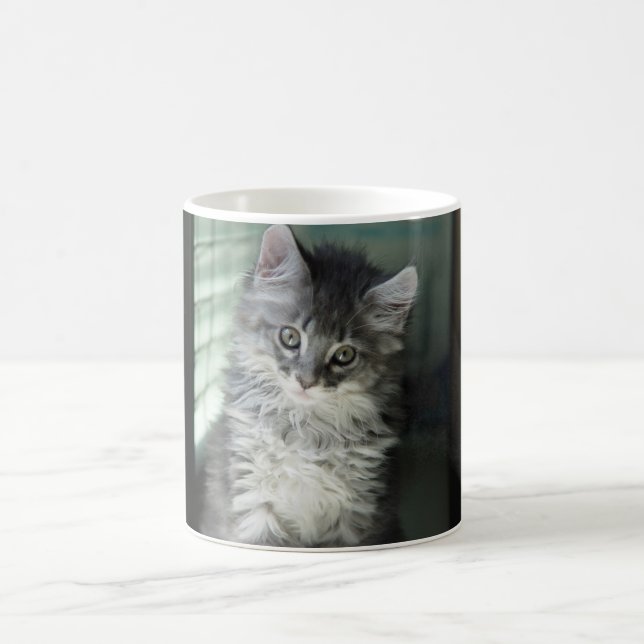 De Café Caneca do gato (Centro)