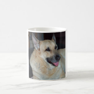 De Café Caneca do german shepherd