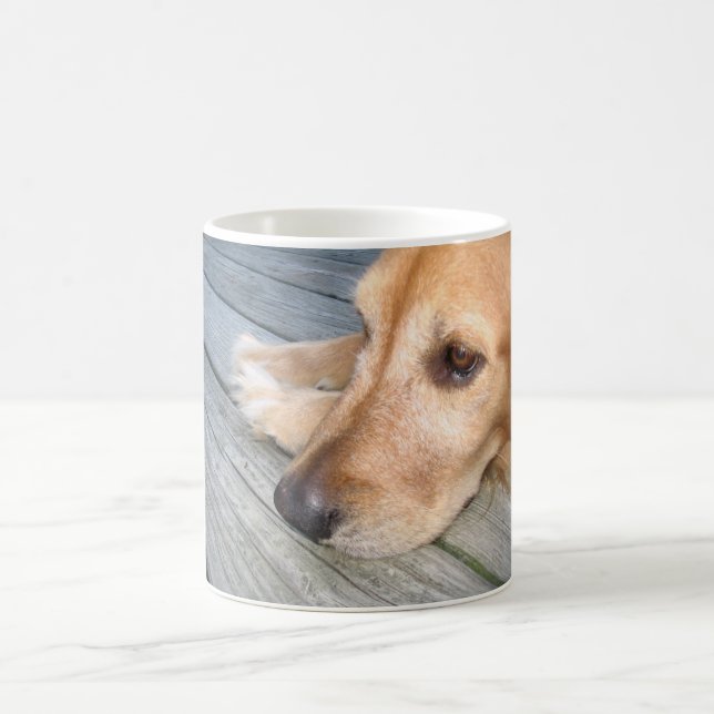 De Café Caneca do golden retriever (Centro)