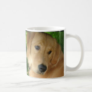 De Café Caneca do golden retriever