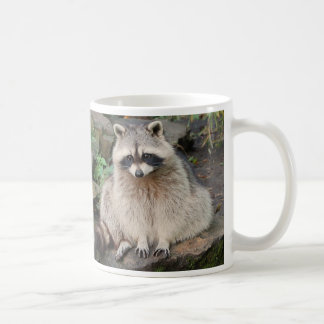 De Café Caneca do guaxinim