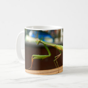 De Café Caneca do inseto da louva-a-deus Praying