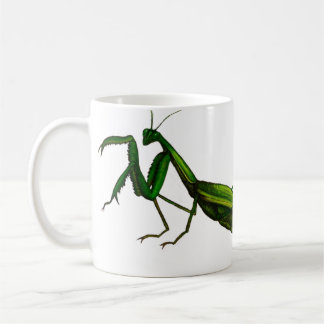De Café Caneca do inseto, verde da louva-a-deus Praying