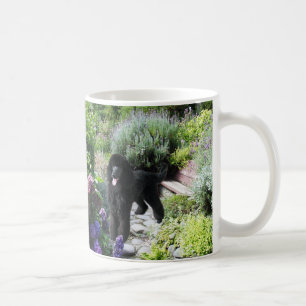 De Café Caneca do jardim da caniche