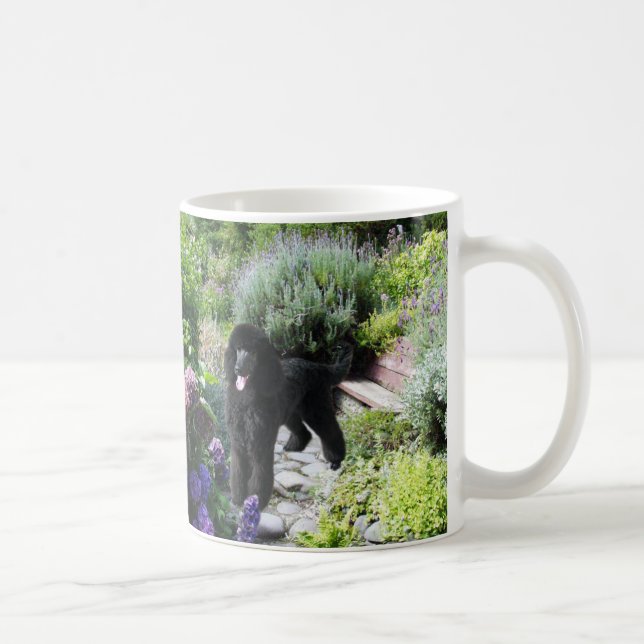 De Café Caneca do jardim da caniche (Direita)
