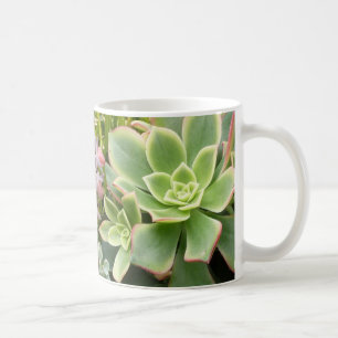 De Café Caneca do jardim do Succulent