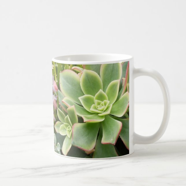 De Café Caneca do jardim do Succulent (Direita)