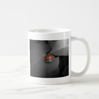 De Café Caneca do joaninha
