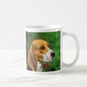 De Café Caneca do lebreiro