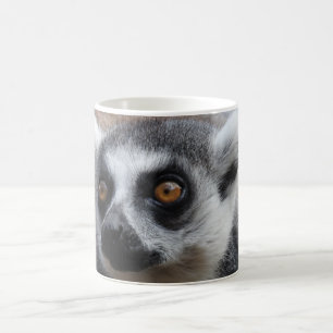 De Café Caneca do Lemur