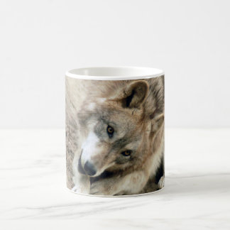 De Café Caneca do lobo dos lobos