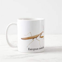 De Café Caneca do Louva-a-Deus Europeu