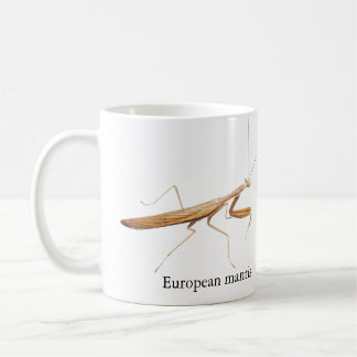 De Café Caneca do Louva-a-Deus Europeu