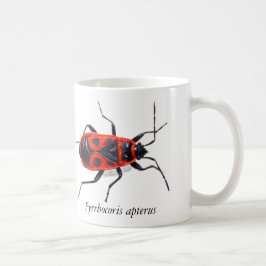 De Café Caneca do Percevejo
