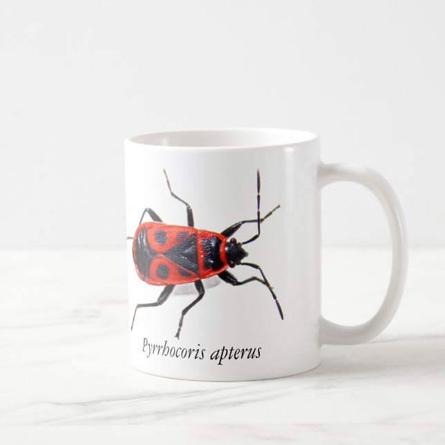 De Café Caneca do Percevejo (Direita)