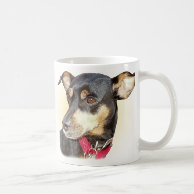 De Café Caneca do Pinscher diminuto (Direita)
