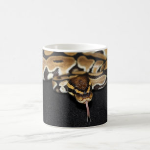 De Café Caneca do pitão da bola