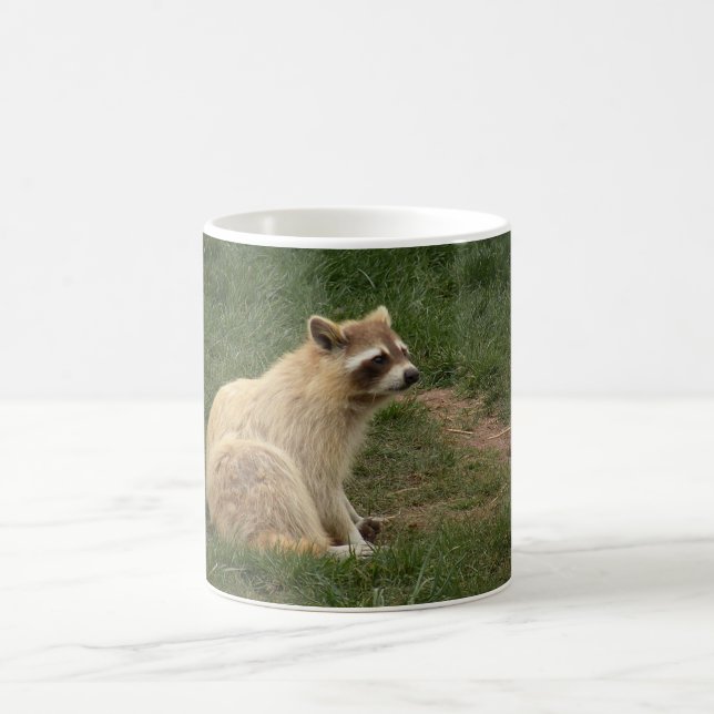 De Café Caneca do Racoon (Centro)