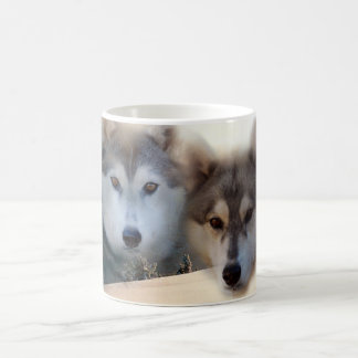 De Café Caneca do rouco Siberian