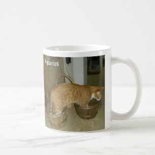 De Café Caneca do sinal do zodíaco do gato do Aquário