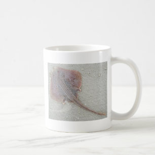De Café Caneca do skate