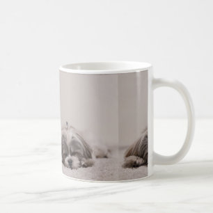 De Café Caneca do tzu do sono Shih, cão do sono