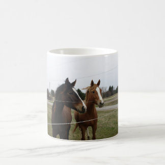 De Café Caneca Dois Cavalos