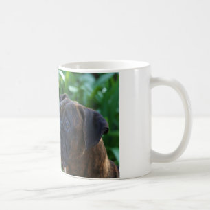 De Café Caneca dos cães e das bolhas do pugilista