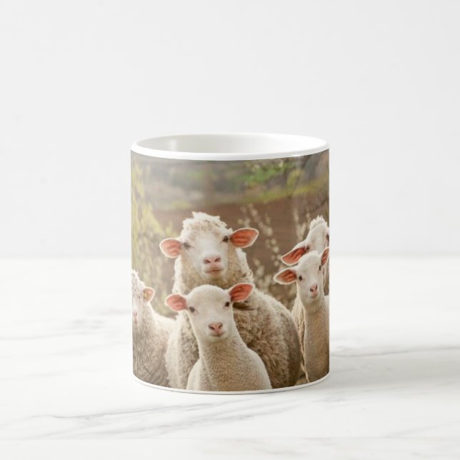 DE CAFÉ CANECA DOS CARNEIROS (Centro)