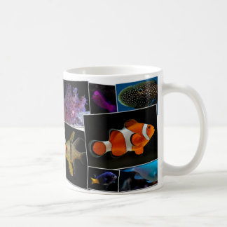 De Café Caneca dos peixes do aquário da água salgada -