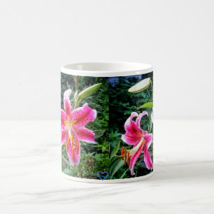 DE CAFÉ CANECA DOS STARGAZERS