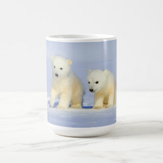 De Café Caneca dos ursos polares