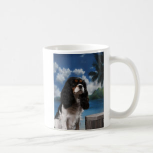 De Café Caneca enchem seu l…