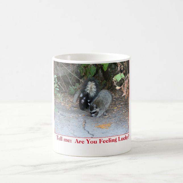 De Café Caneca engraçada com a foto do guaxinim e da (Centro)