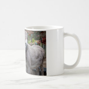De Café Caneca engraçada do asno