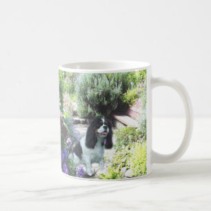 De Café Caneca esclarecido descuidado do jardim do Spaniel