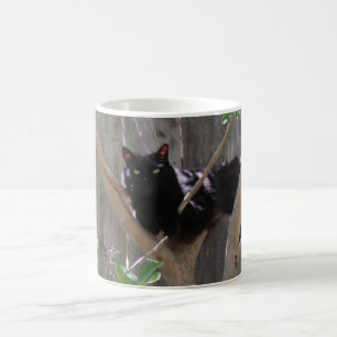 De Café Caneca - Gato em Galhos