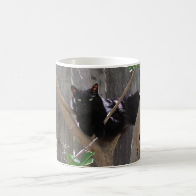 De Café Caneca - Gato em Galhos (Centro)
