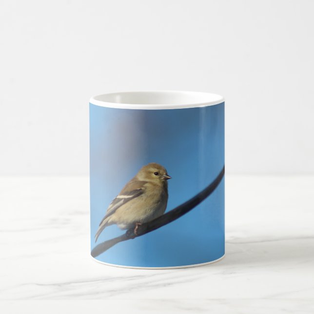 De Café Caneca Goldfinch (Centro)