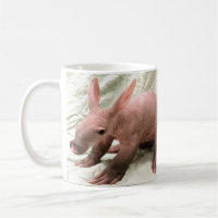 Caneca inábil do porco-da-terra