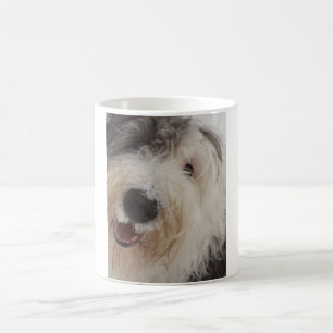 De Café Caneca inglesa velha do Sheepdog - cara da neve