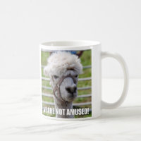 Caneca irritada da alpaca